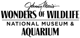 Aquariums and Zoos-Wonders of Wildlife